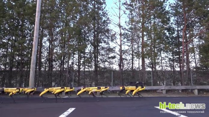 10 маленьких роботов SpotMini тянут огромный грузовик SpotMini