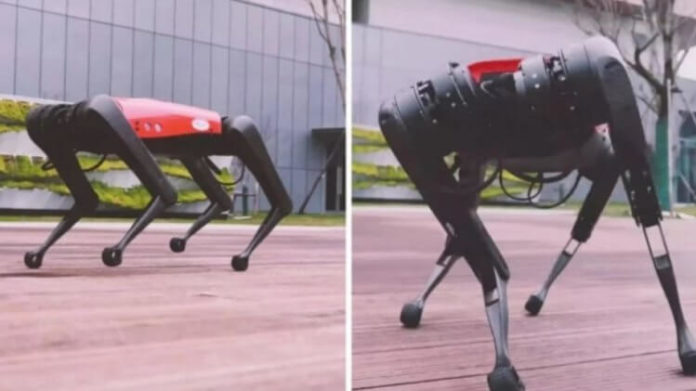 У робота-собаки от Boston Dynamics появилась китайская копия китайская копия