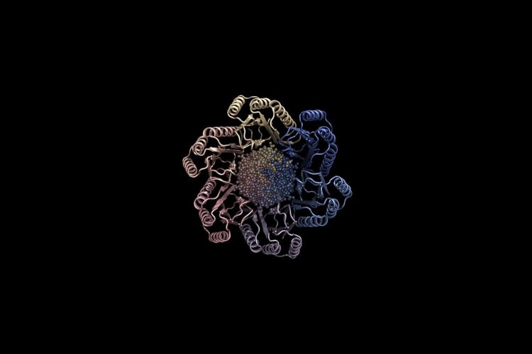 Новое биологическое оружие. Современные ИИ-системы генерируют множество новых белковых соединений за считанные минуты. Новое биологическое оружие. Современные ИИ-системы генерируют множество новых белковых соединений за считанные минуты. Фото.